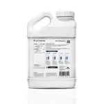 Untitled design (65)