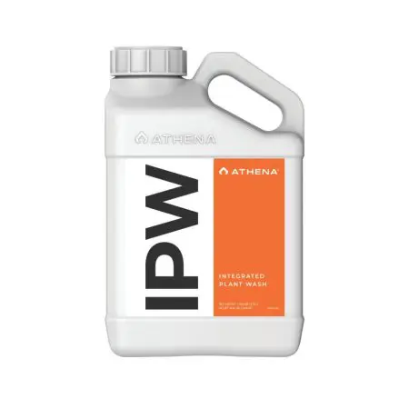 Athena IPW
