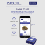 PurplPro_1